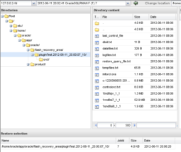 Plugin Banco de Dados Oracle Bacula Enterprise – Guia Rápido 3