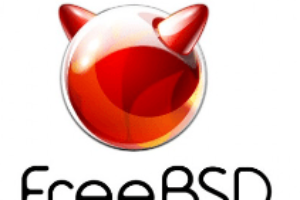 Instalando o Bacula no FreeBSD [Installing Bacula on FreeBSD]