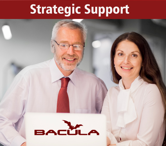 Bacula Support: Strategic Partnership for Your Company