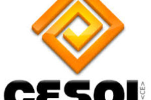 CESOL 2008