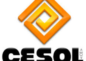 CESOL 2008