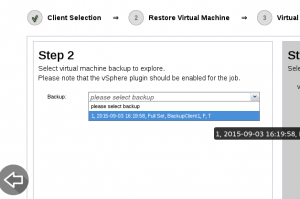 Plugin Restauração Granular VMware VSphere Bacula Enterprise (Single-Item) – Guia Rápido 2