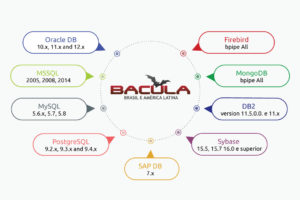 Bancos de Dados no Bacula Enterprise