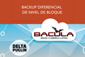 Bacula Enterprise Delta Plugin