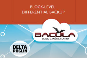 Bacula Enterprise Delta Plugin