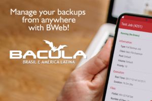 Home Office? Manage your Backups from anywhere with BWeb!