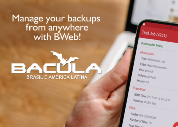 Home Office? Manage your Backups from anywhere with BWeb!