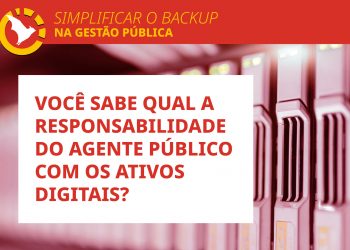 Responsabilidade do Agente Público